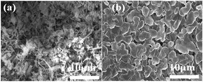 Concentrated LiODFB Electrolyte for Lithium Metal Batteries